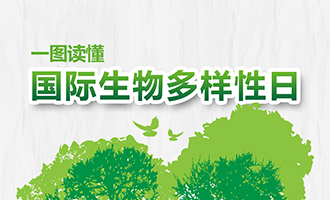  一图读懂国际生物多样性日